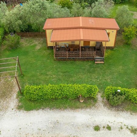 Agriturismo Nonna Stella Bibbona Dış mekan fotoğraf