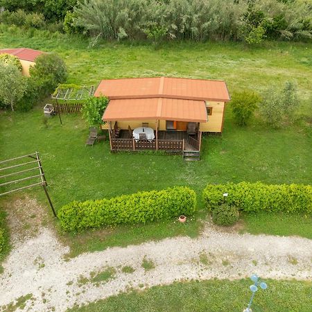 Agriturismo Nonna Stella Bibbona Dış mekan fotoğraf