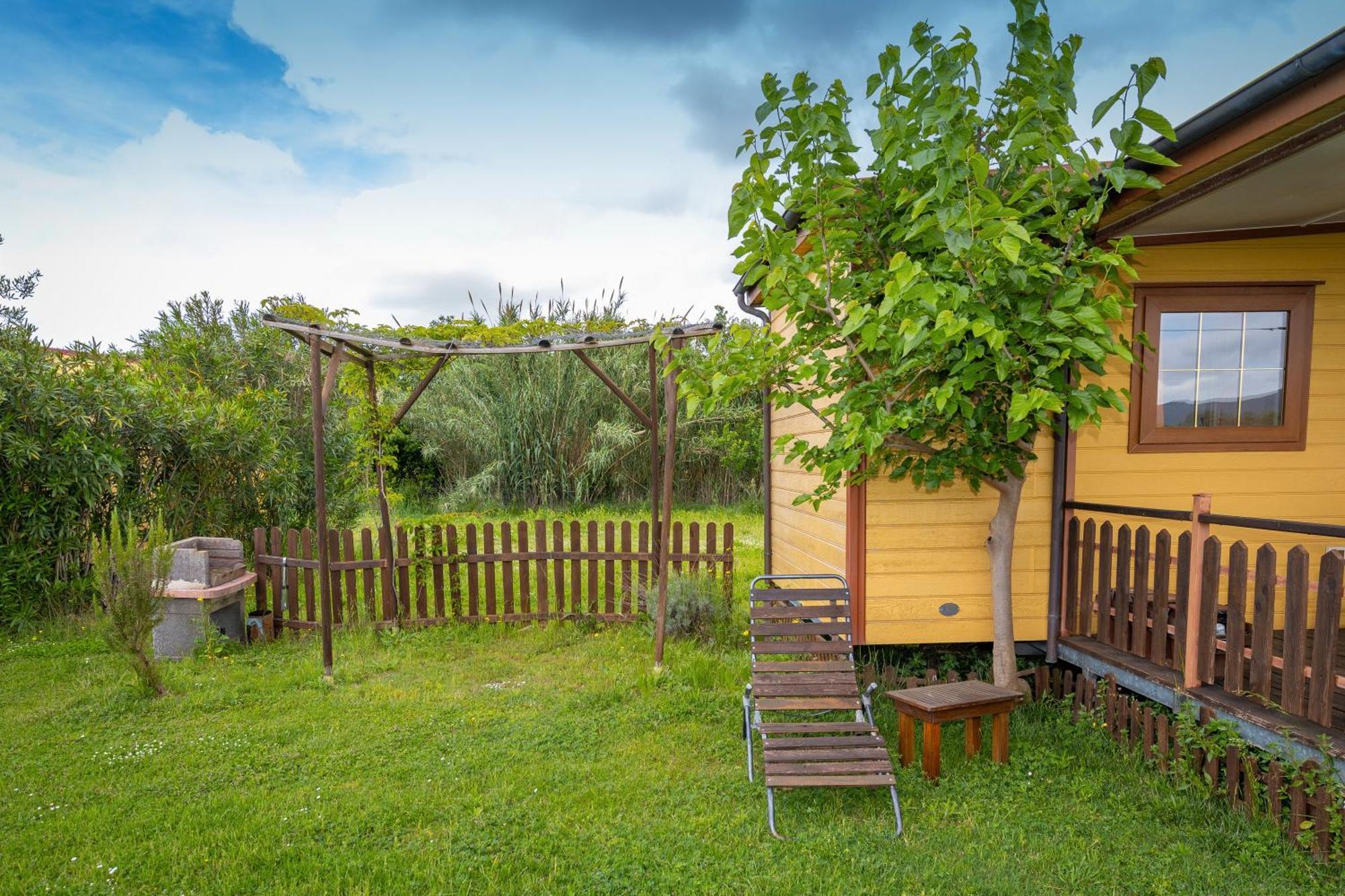 Agriturismo Nonna Stella Bibbona Dış mekan fotoğraf