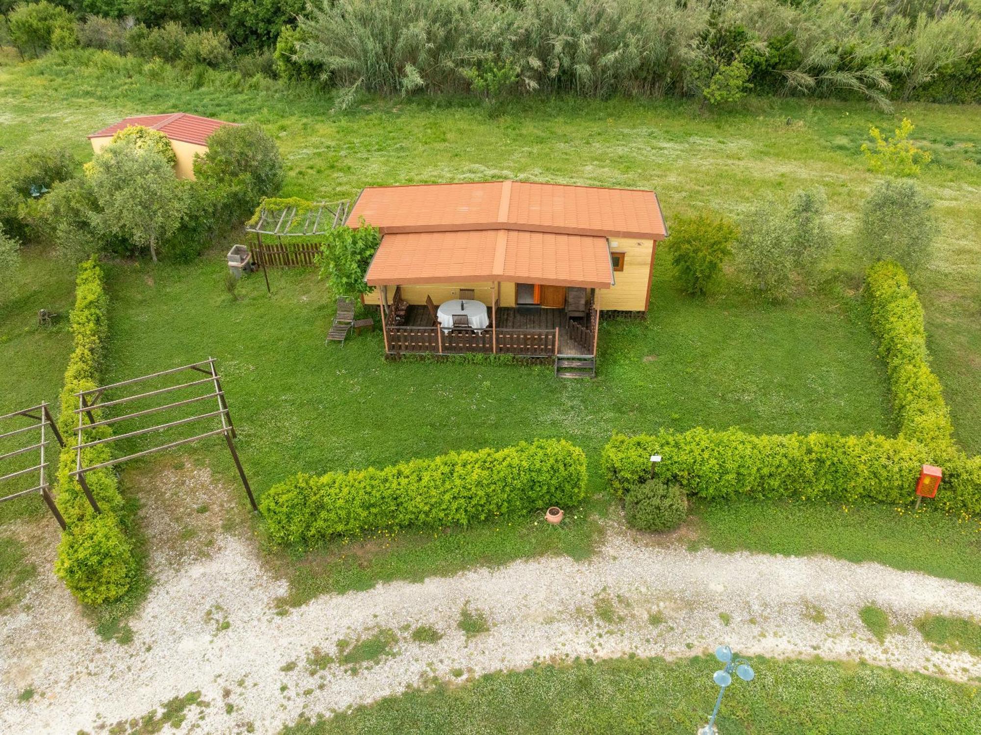 Agriturismo Nonna Stella Bibbona Dış mekan fotoğraf