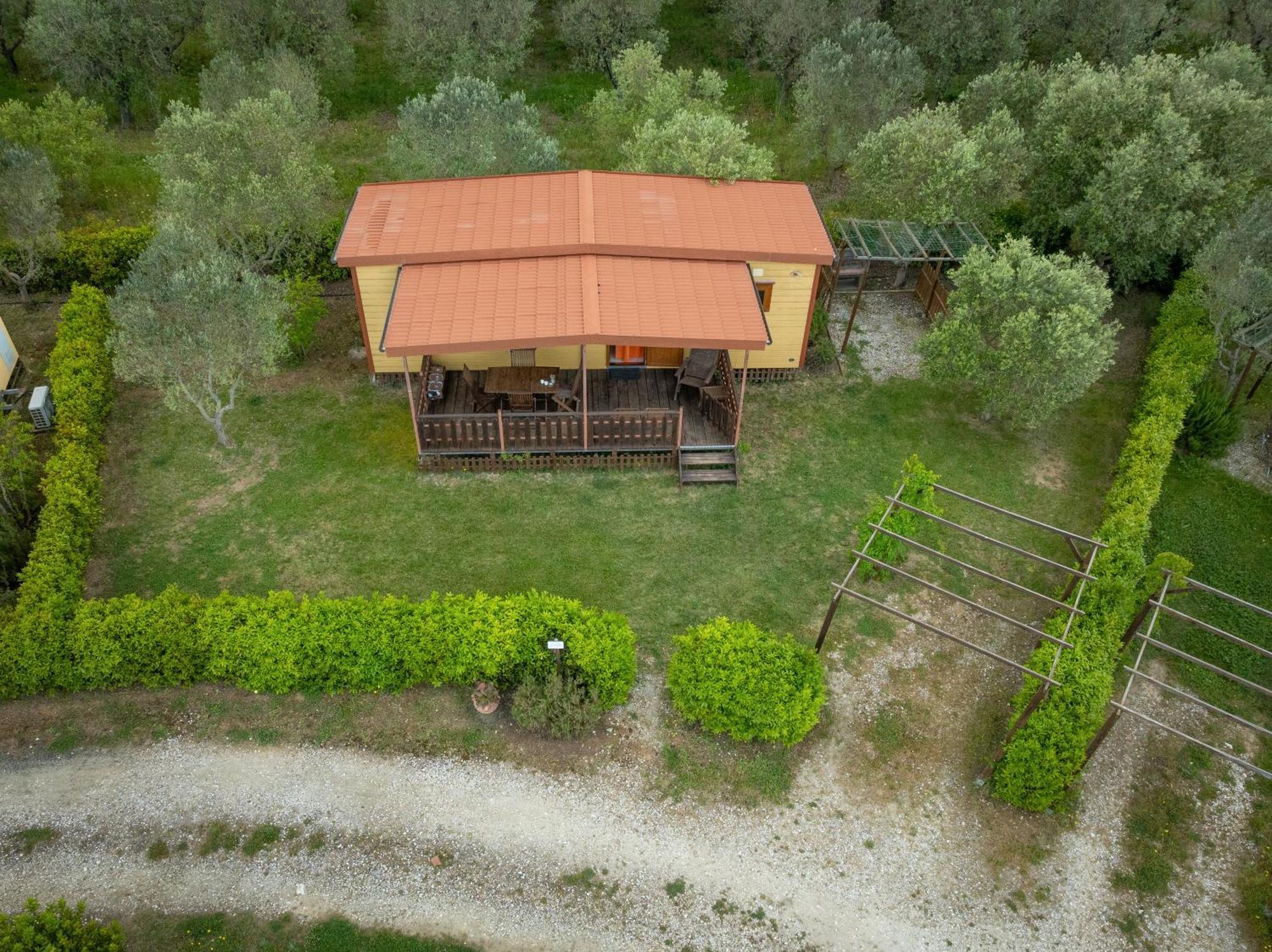 Agriturismo Nonna Stella Bibbona Dış mekan fotoğraf