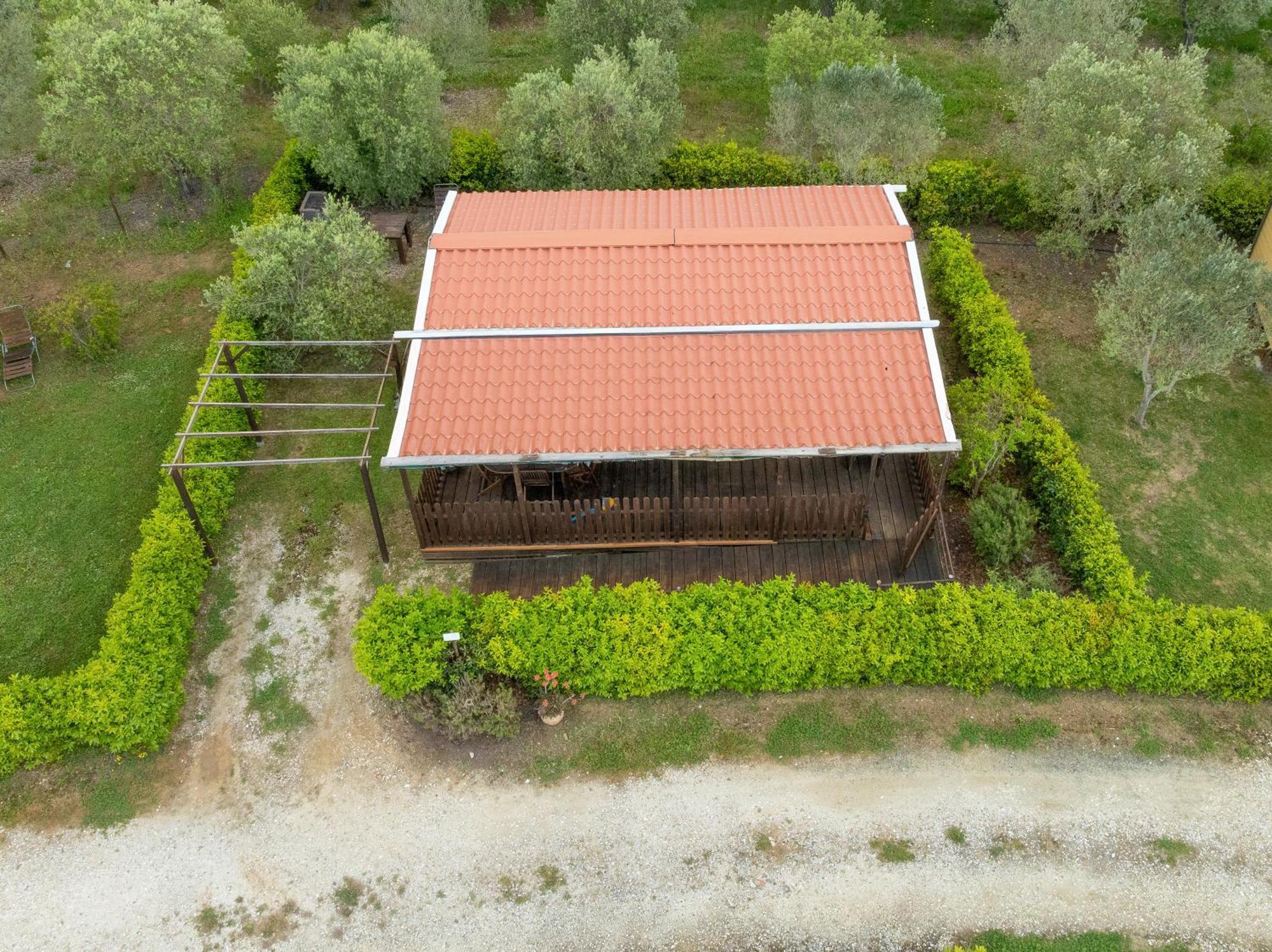Agriturismo Nonna Stella Bibbona Dış mekan fotoğraf